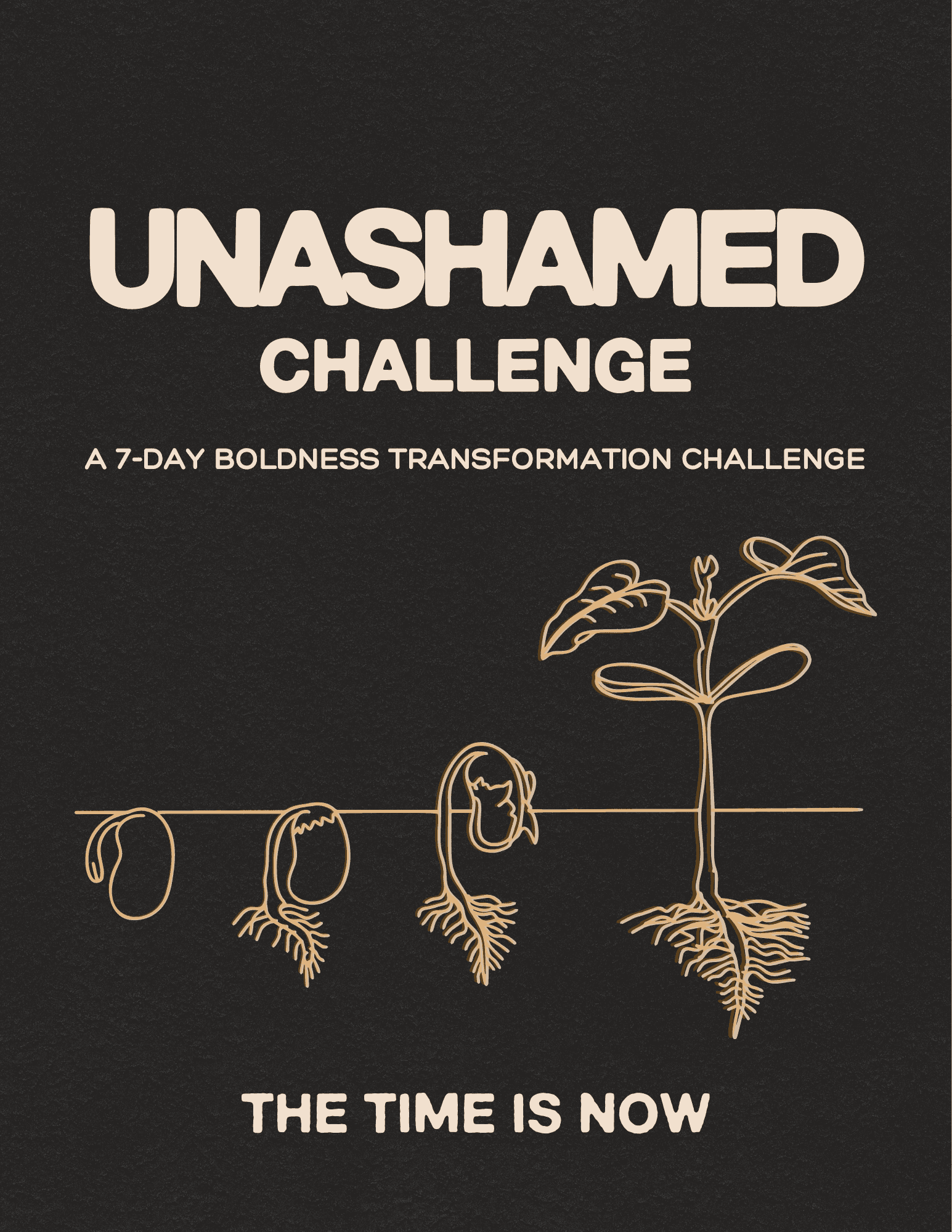 Unashamed Challenge, book cover